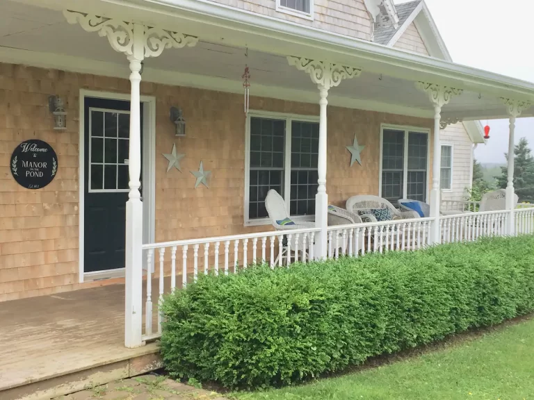 b0f6ca1e 771e 405f 91c9 481f08ae7300 768x576