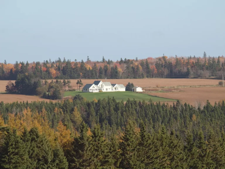 c1f8e37e 9805 4f1e bdc2 539492a3edee 768x576