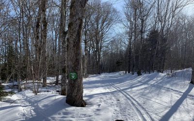 Souris Striders Trail