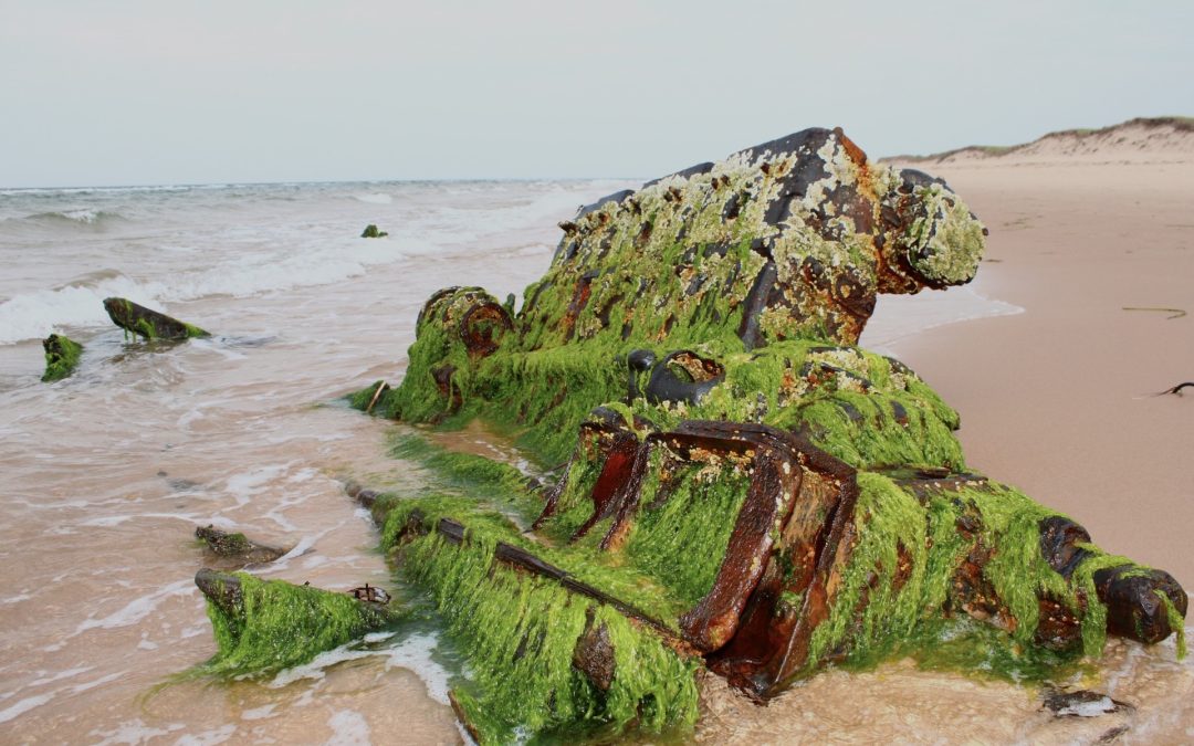 The Shipwreck of Basin Head Beach