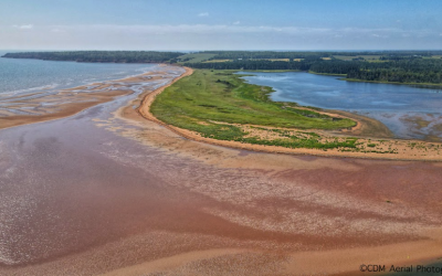 Chad’s Road Beach