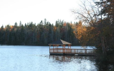 Harvey Moore Wildlife Management Area Trail
