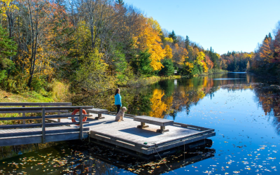 Mooney’s Pond Trail