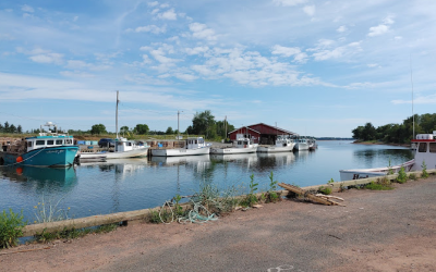 Murray River Wharf
