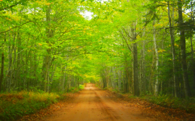Glen Scenic Heritage Road