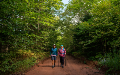 Townshend Woodlot Trail