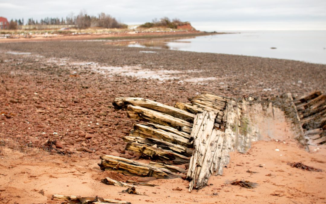 The Shipwreck of Georgetown PEI