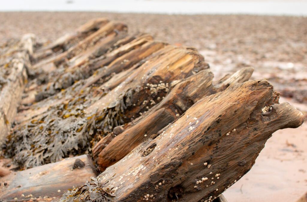 The Shipwreck of Georgetown PEI