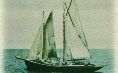L'histoire du rhum et des Nellie J. Banks