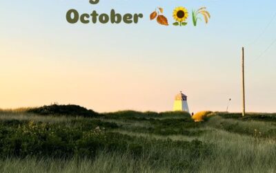 Nellie’s Landing | October Stay & Ride Specials