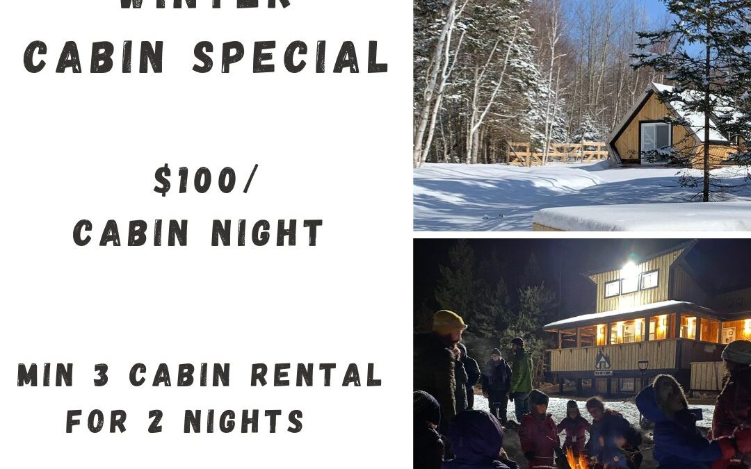 Wild Pines Cabins – Winter Cabin Special