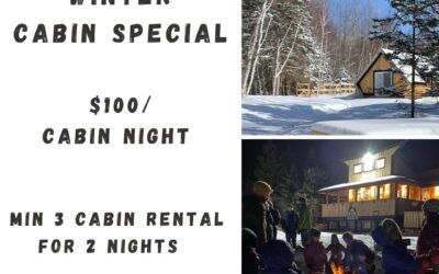 Wild Pines Cabins – Winter Cabin Special