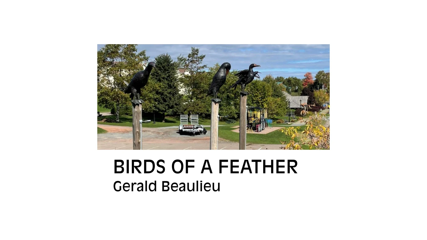 Birds of a Feather – Gerald Beaulieu
