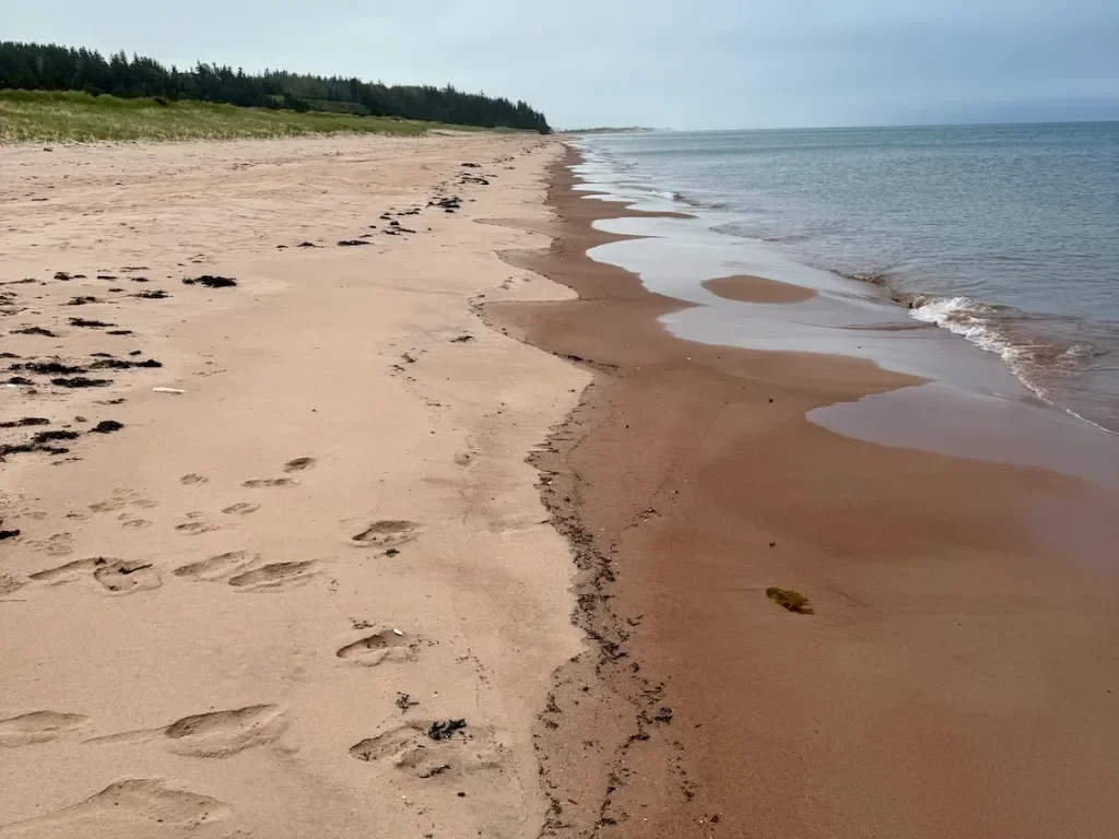 little harbour beach 1024x768 1